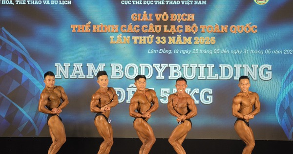 Jin88 cược thể thao