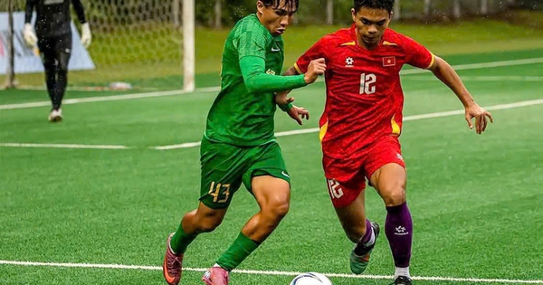 Jin88 cược thể thao